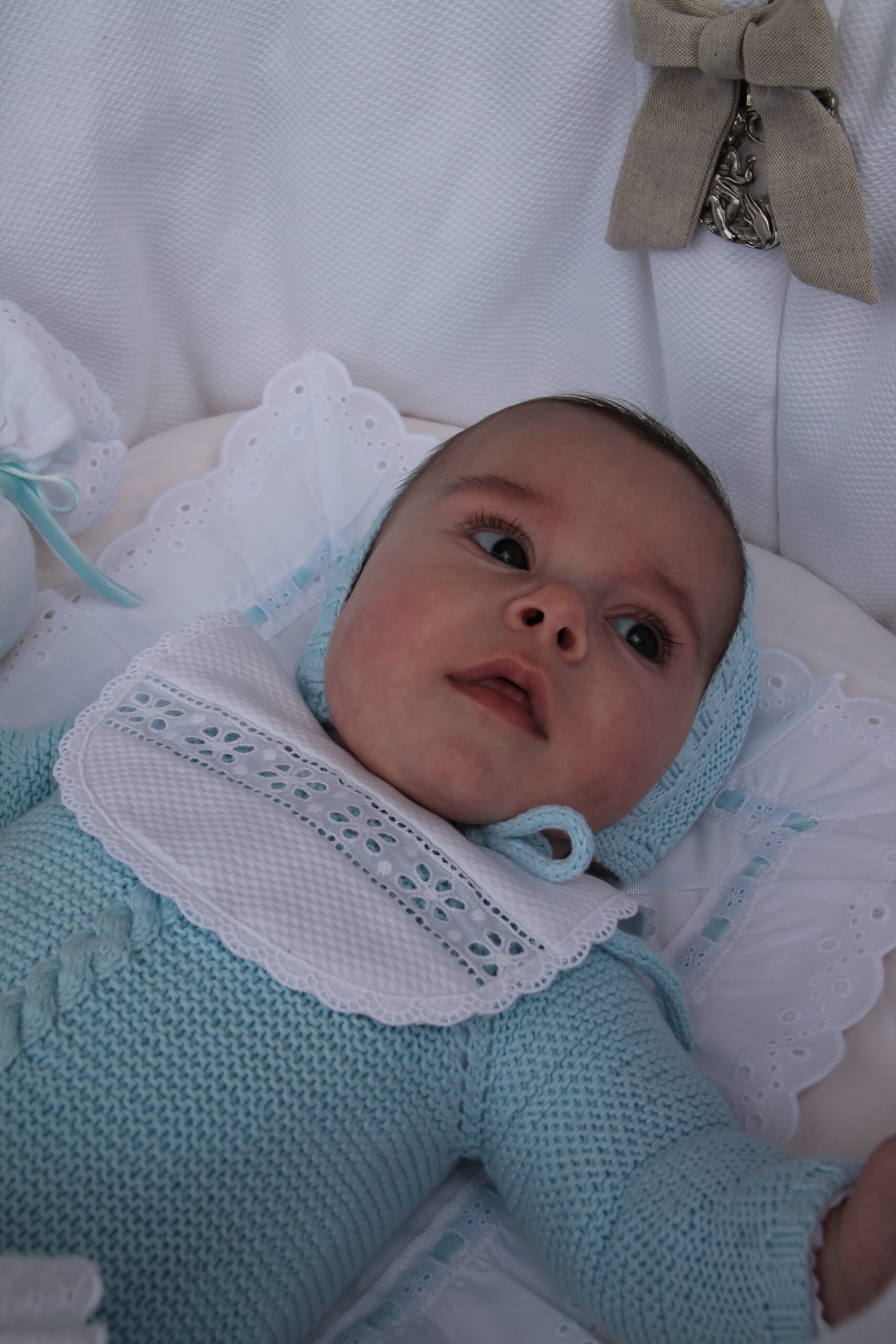 Salvababa pasacinta azul - Imagen 3