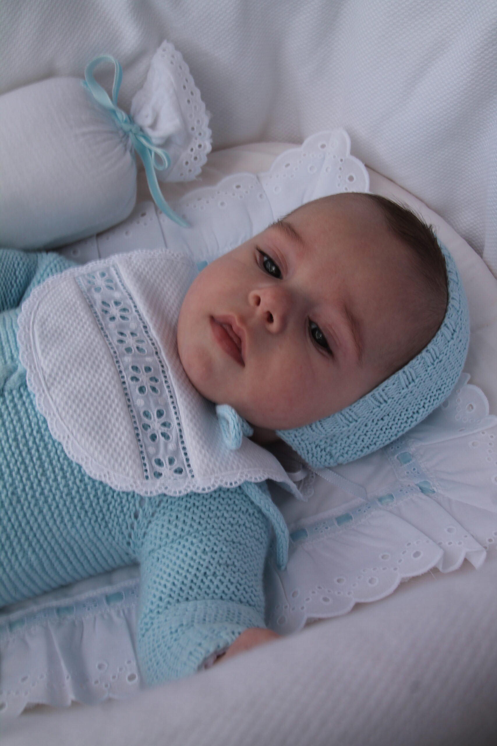 Salvababa pasacinta azul