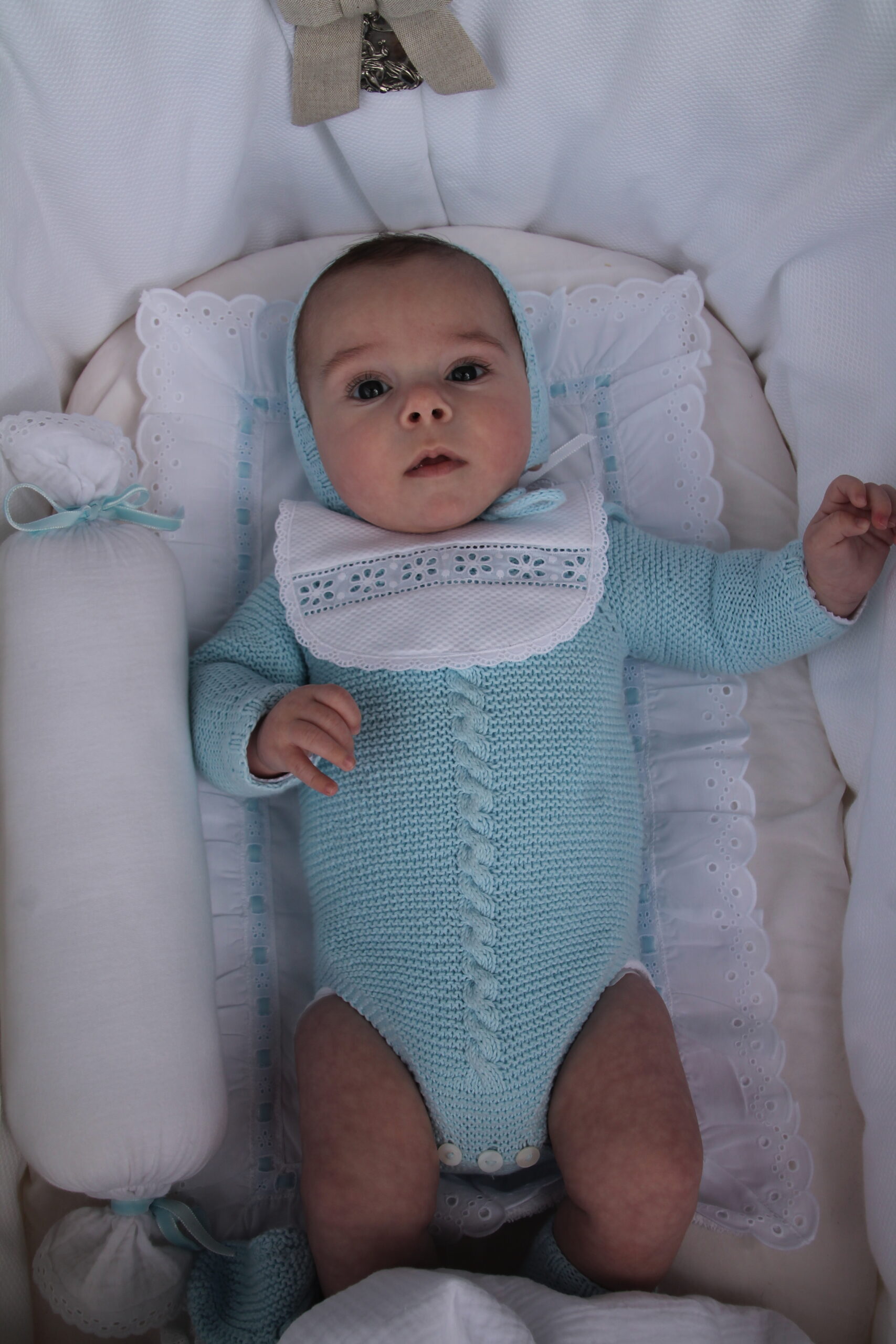 Salvababa pasacinta azul - Imagen 2