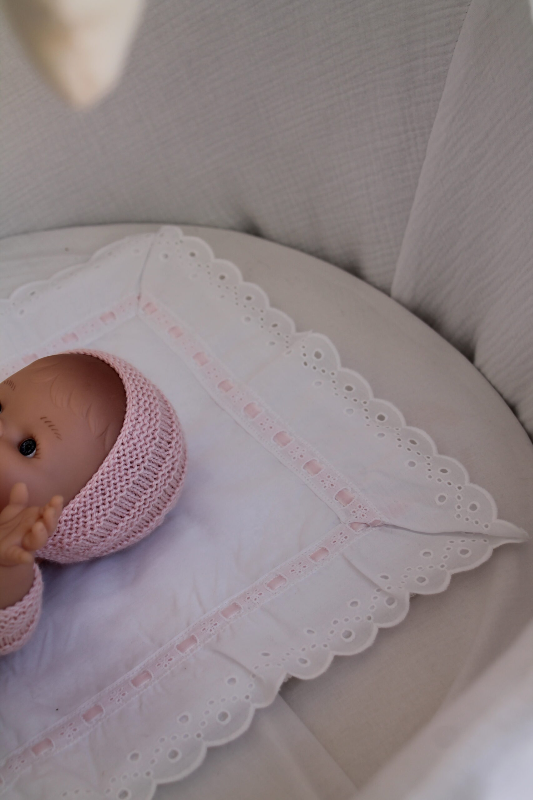 Salvababa pasacinta rosa - Imagen 2