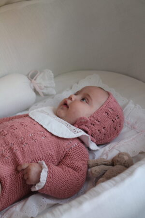 Salvababa pasacinta rosa