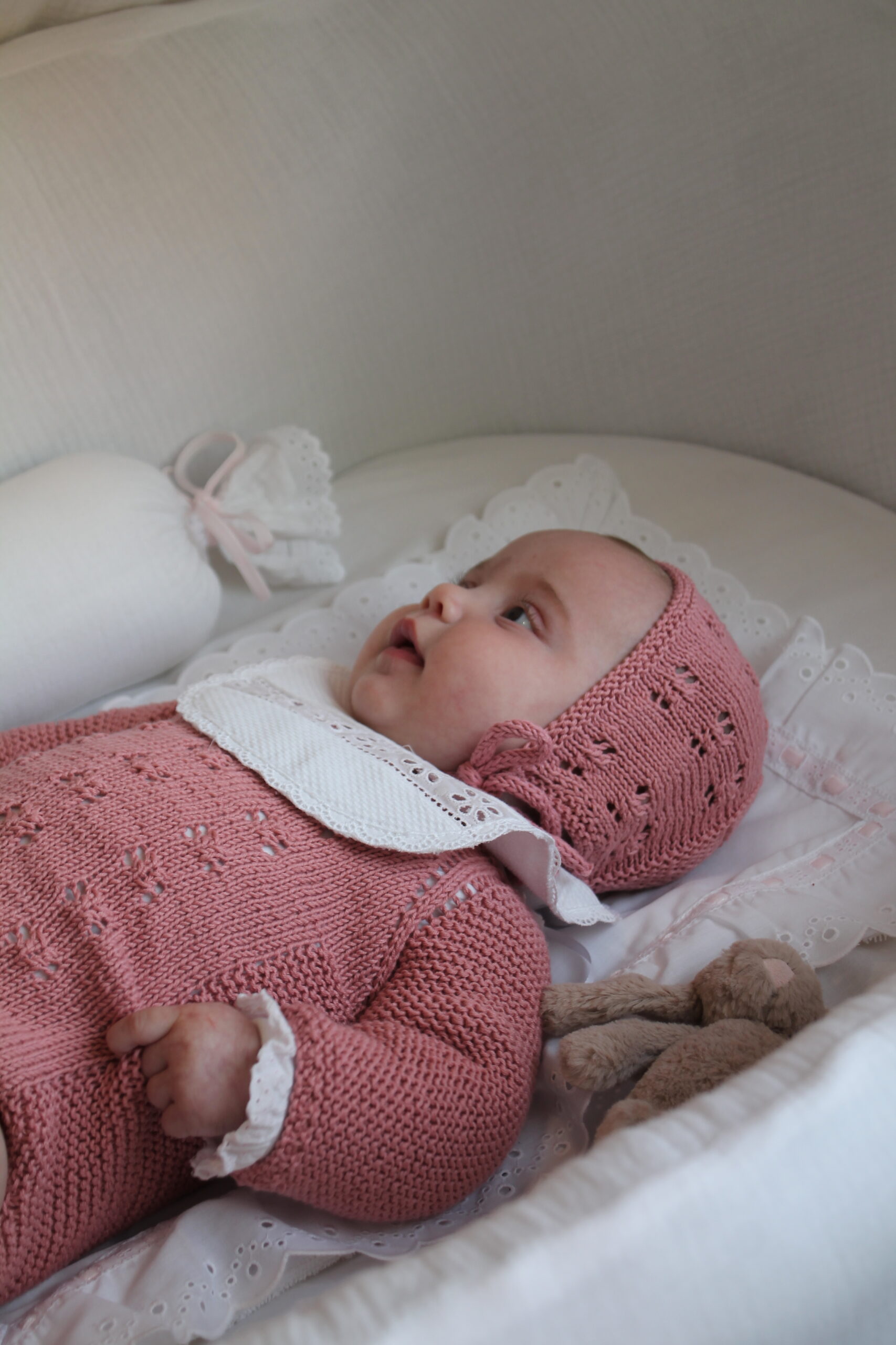 Salvababa pasacinta rosa