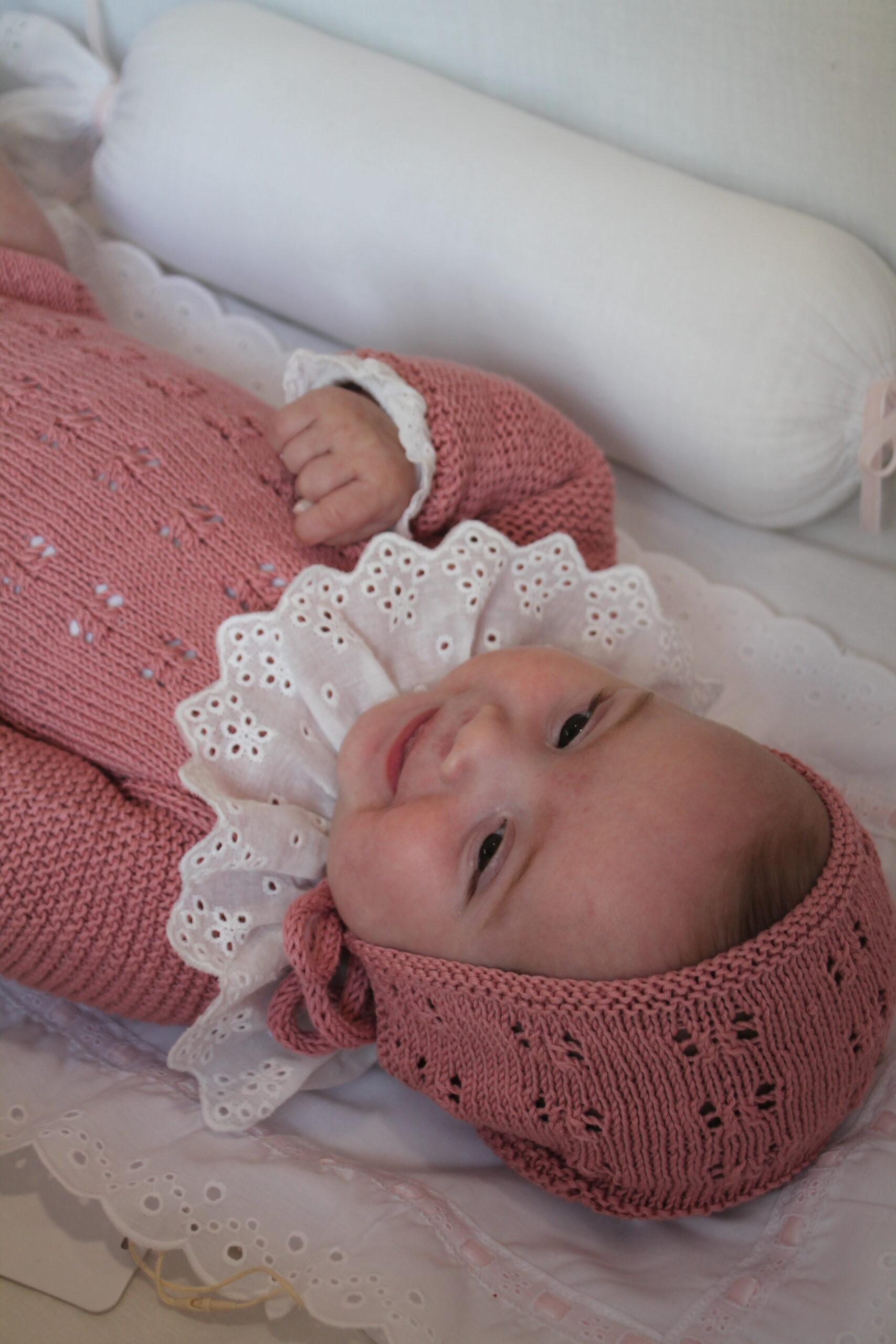 Salvababa pasacinta rosa - Imagen 3