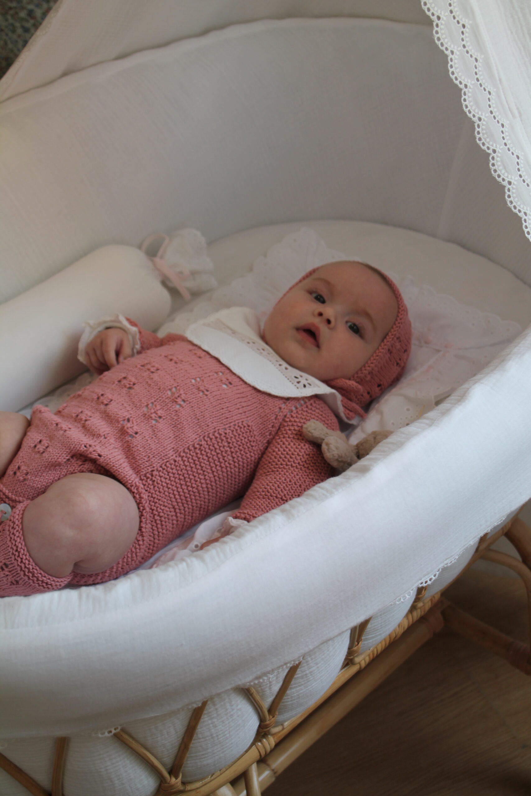 Protector de moisés de junco