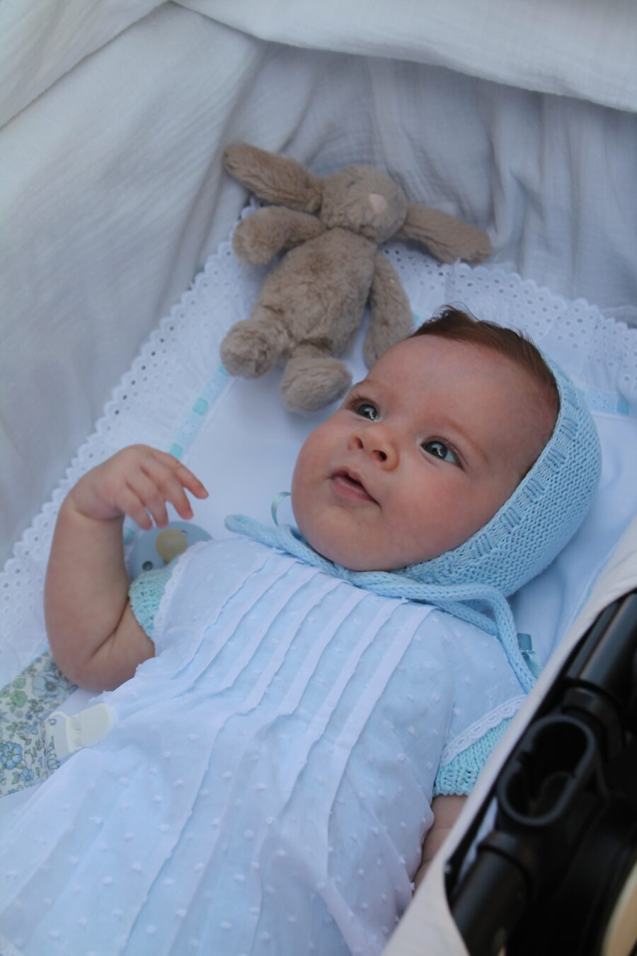 Jesusito plumeti Leonor